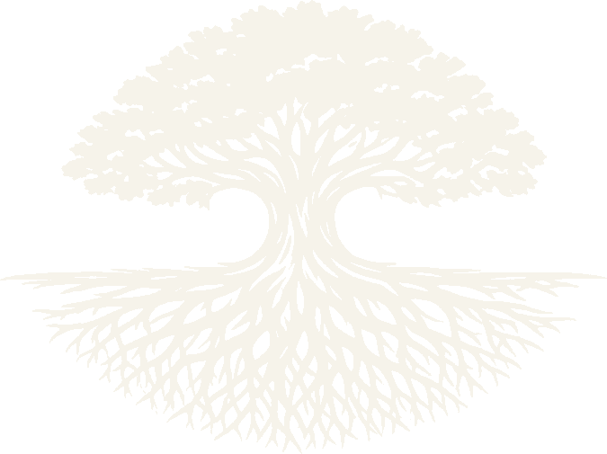 Deep Root Strategies tree logo