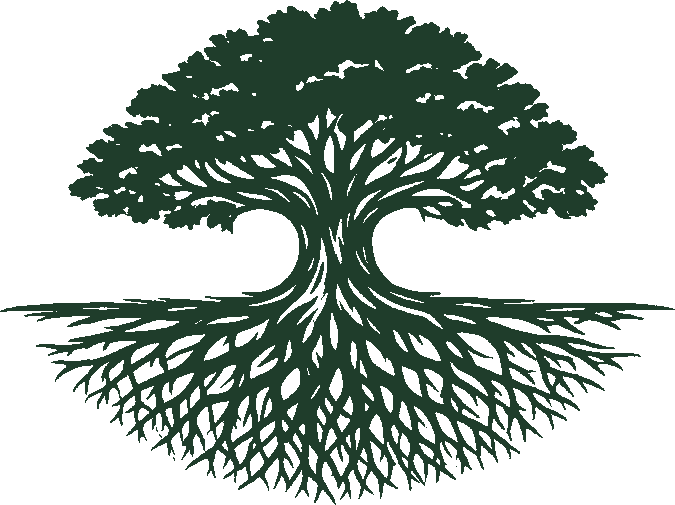Deep Root Strategies logo